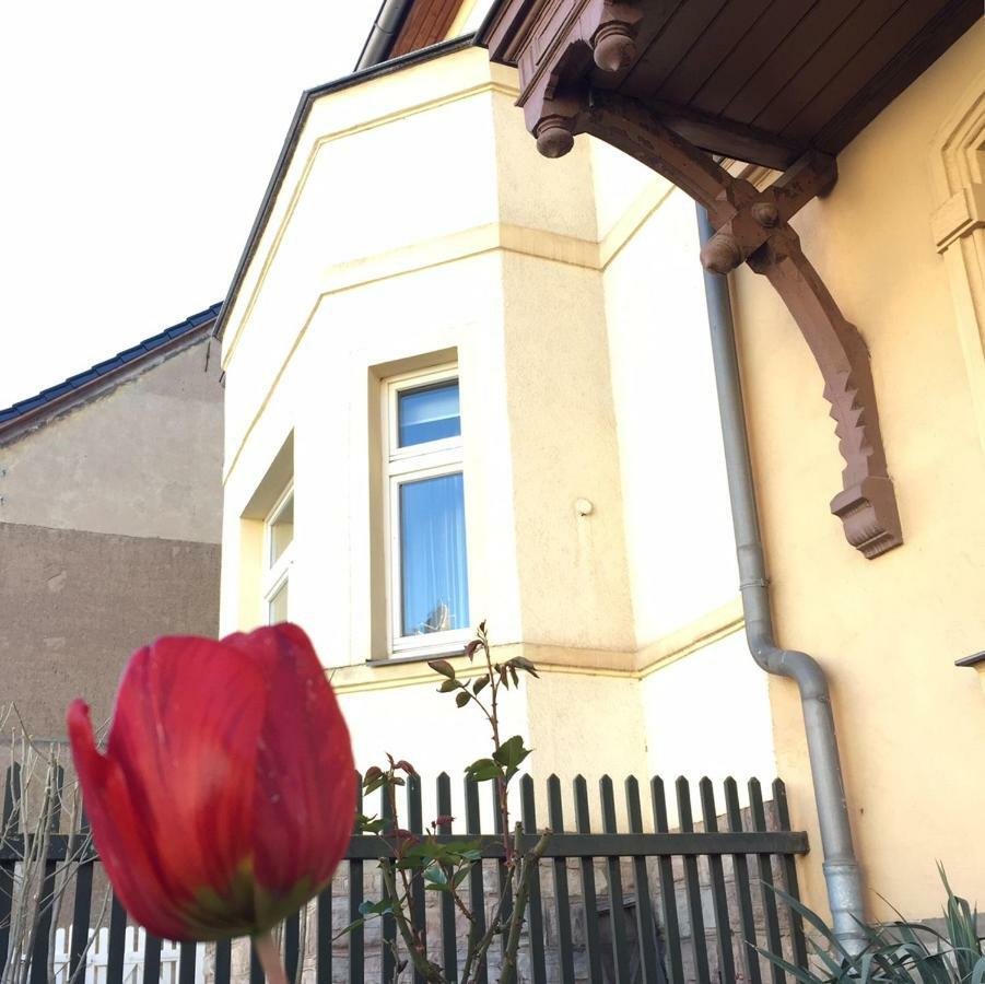 Gastehaus St. Ritter & D. Pacia Apartamento Sangerhausen Exterior foto